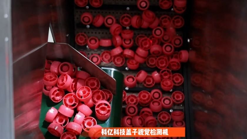 蘑菇蓋質檢